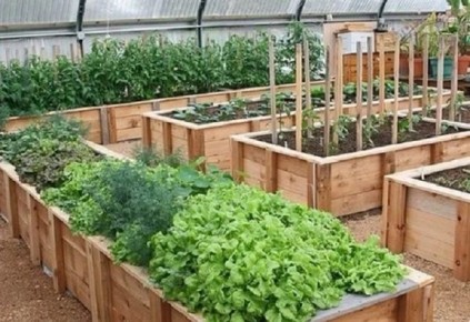 Умные грядки: как использовать ветки для создания плодородного огорода