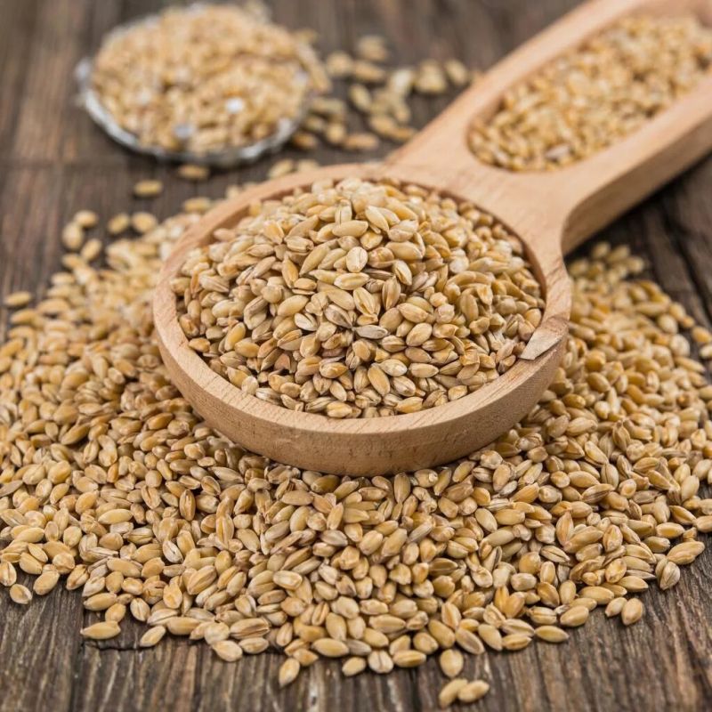 Как выбрать идеальную крупу для похудения: сравнение популярных вариантов