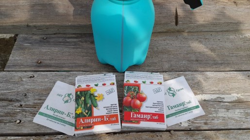 ���������� � ������ ������� 2025: ��� ����� ����� � ��� ��������� �������