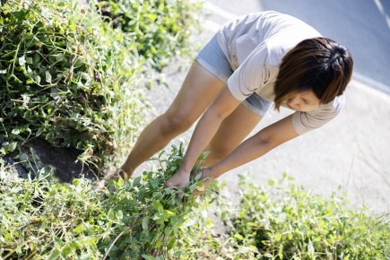 Как дачники одолевают главных соперников на огородах
