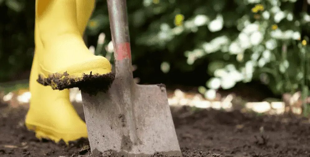 Осенняя перекопка: ключ к здоровой почве и богатому урожаю