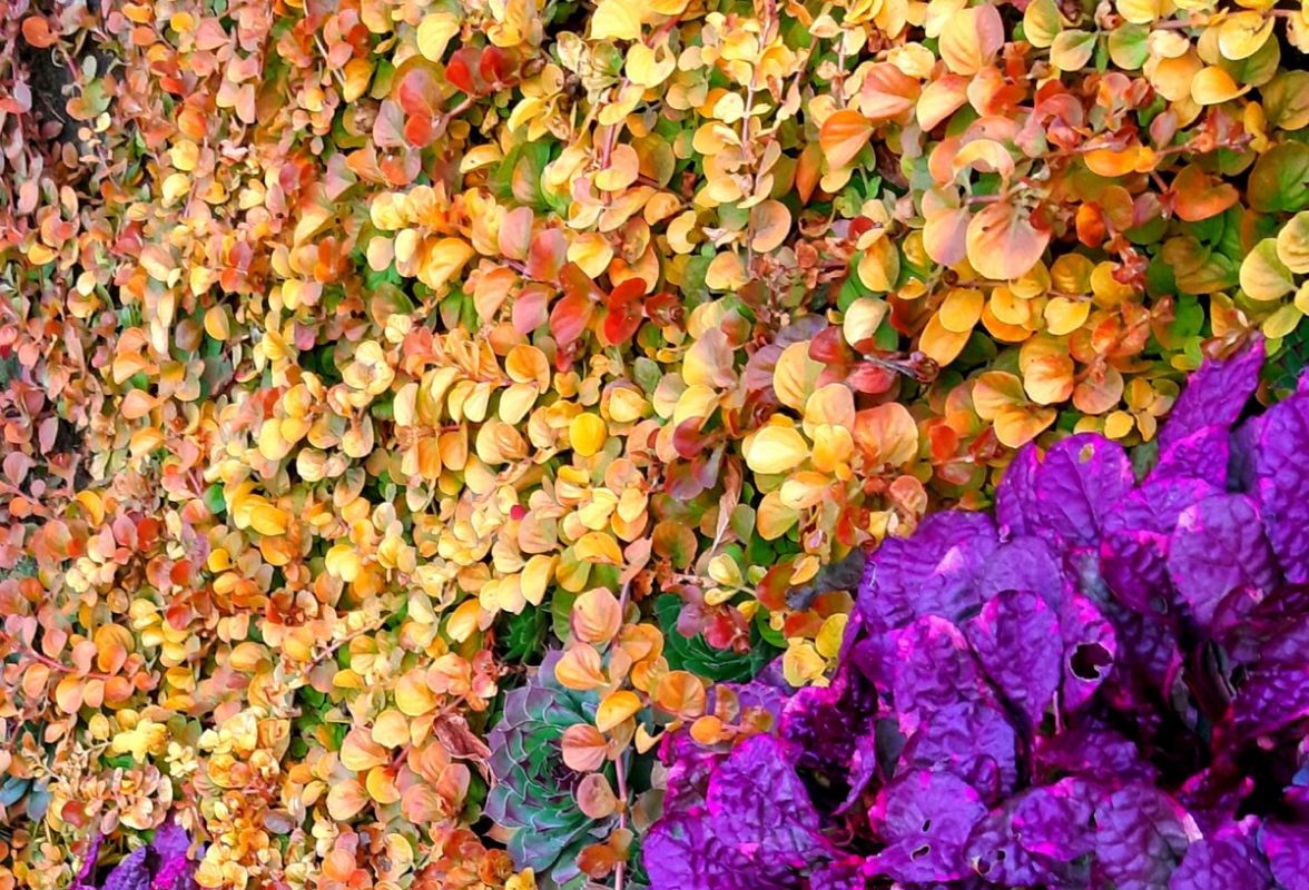 ������� ����� � ����� ����: ��������� �����