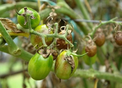 ��� � ������� ������������� ��������� ������: ���� ��� ��������