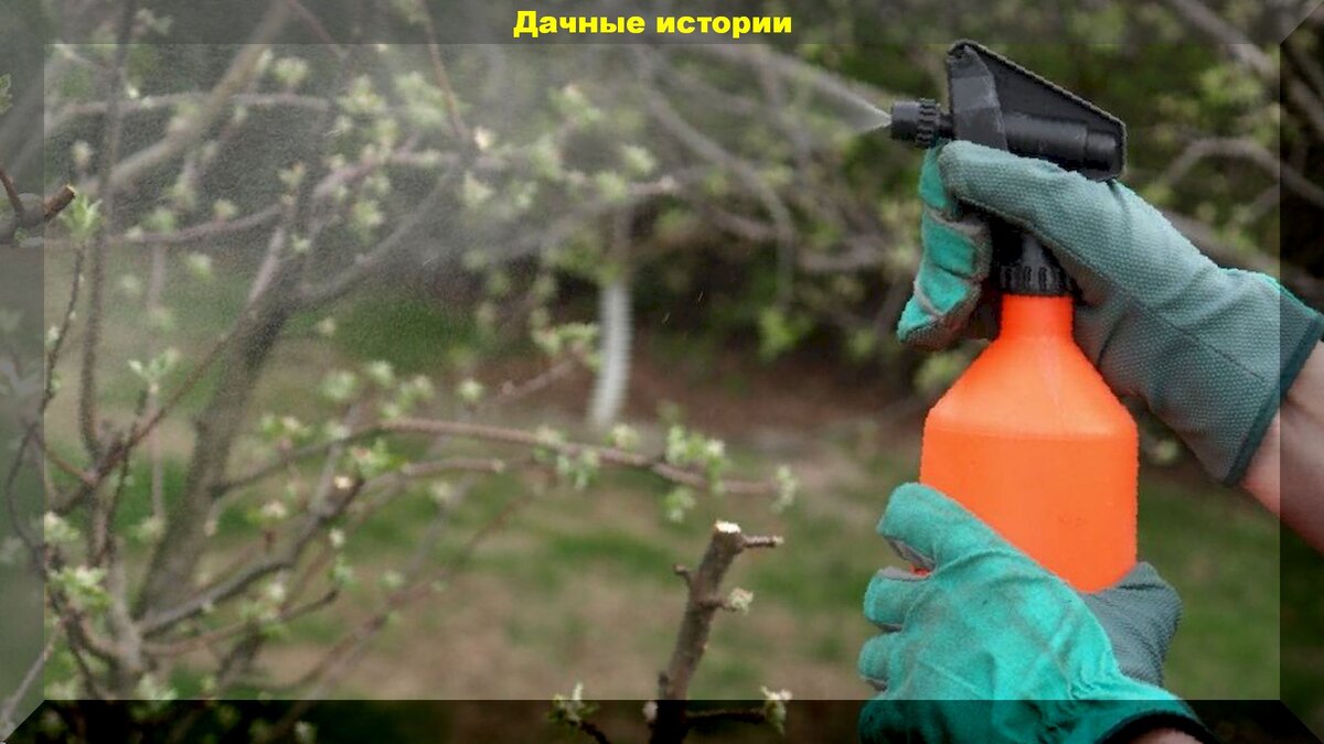 Весенние секреты успешной обработки сада