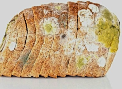 ��� ����������, ���� ������ ����������� ����?