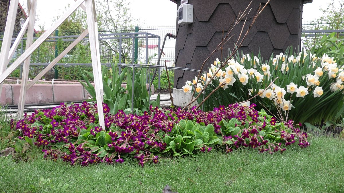 ������ �� ��������� ������: ��� ���������� ������ ������ � ������