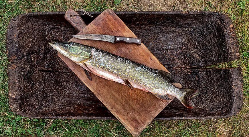 ��������� ������ ����: ������ � �������