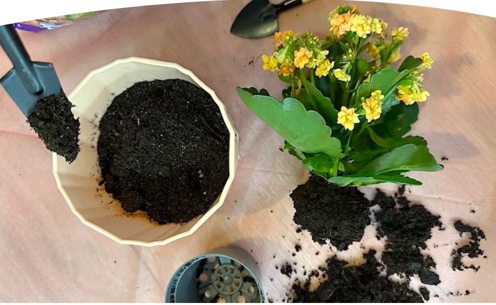 �������� ��������� ����� ��� ����� ��������� �������� ��������������