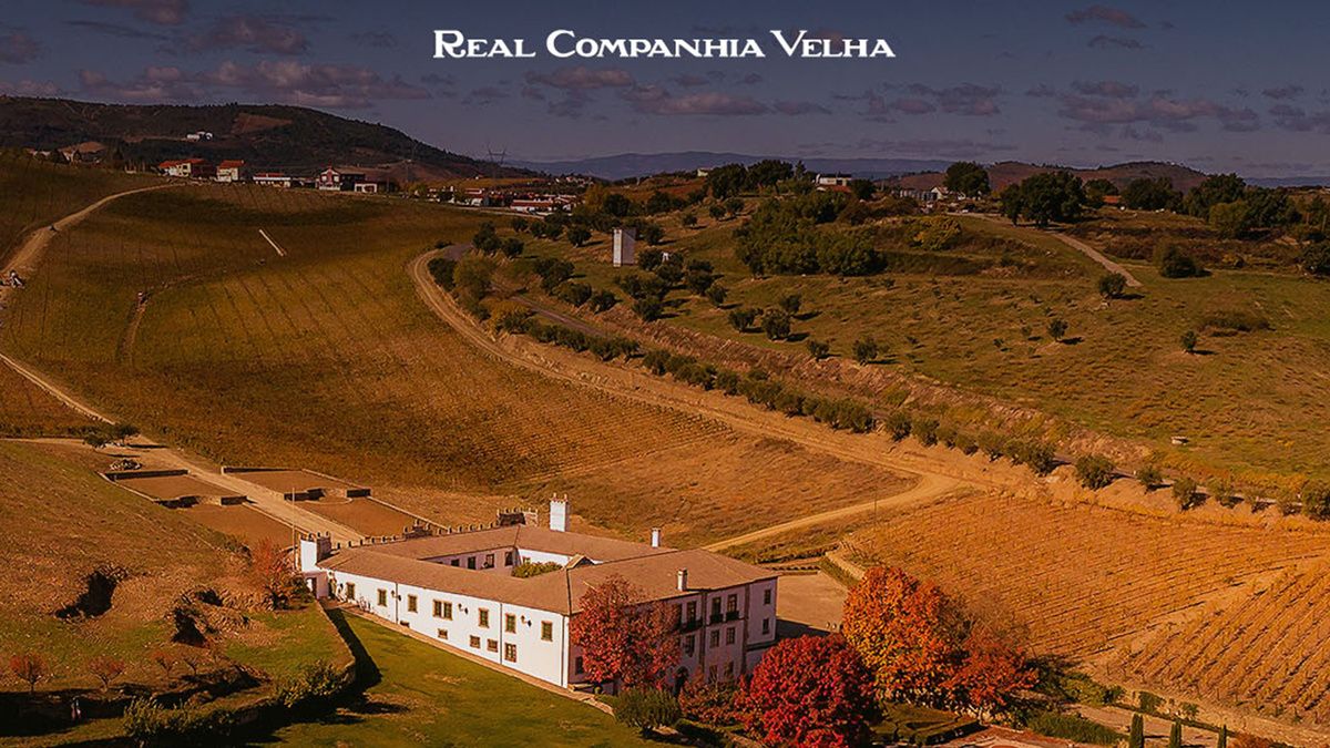 �������� ��� ����������� ����� ��� ������ �������