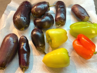 ������������ ���� ������� �� ����������: ������� �������������