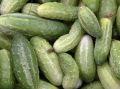 Огурцы подорожали до цен авокадо: как инфляция влияет на рынок овощей