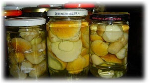 Секреты хранения солёных грибов: как сохранить их свежесть на долгое время