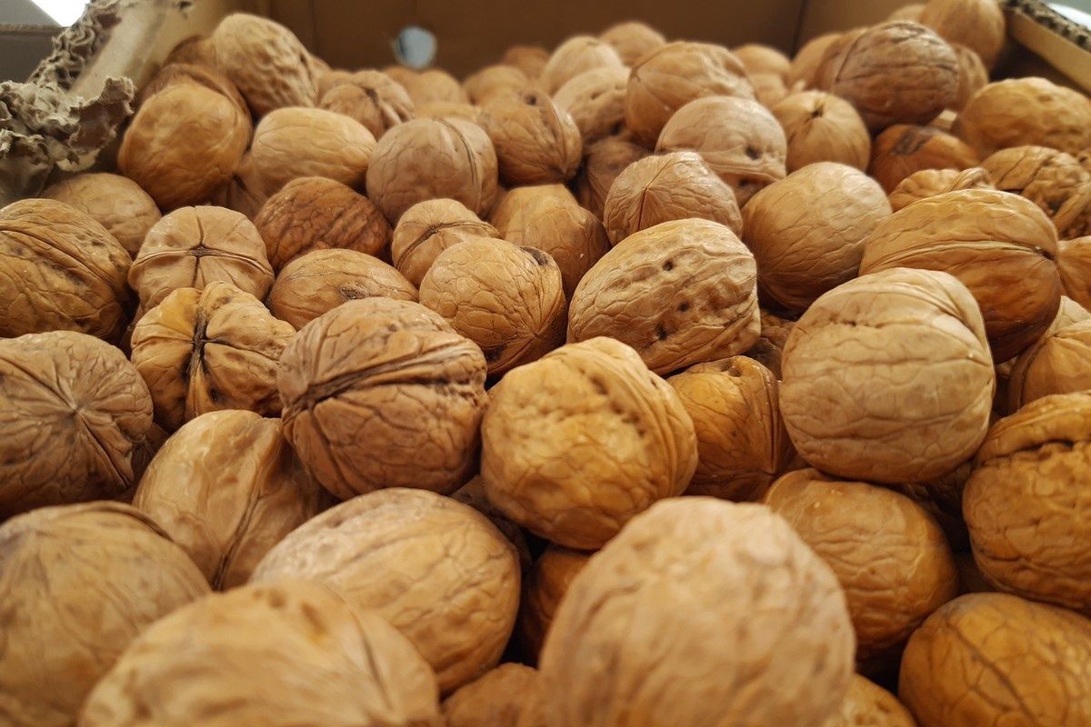 ��� ������� ��������� ����� ��� ��������� �������