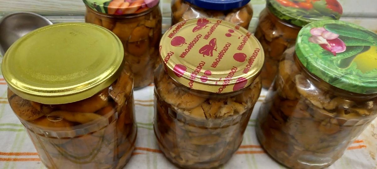 ��� �� ������ �� ��������� ������ �����: ������ ������ ���������