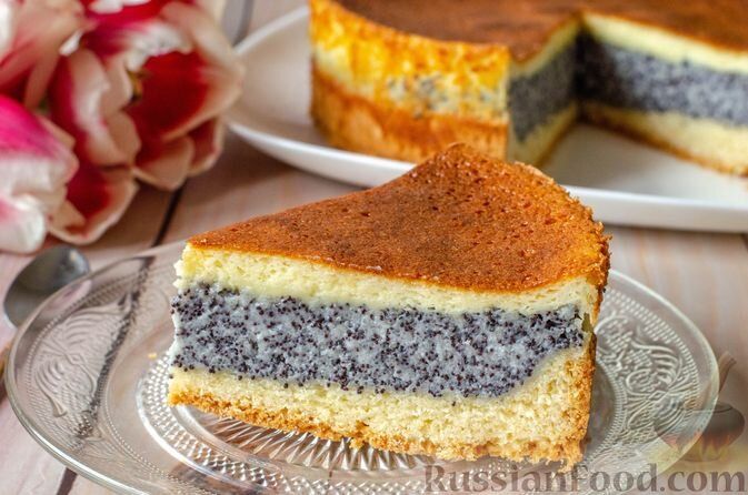 ������ � ���: ���� ������ �������� ��� ������� ��������� ��������