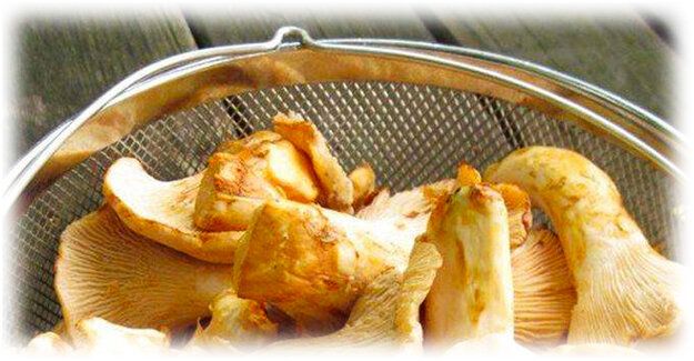 ��� ��������� ������� �� ����: ������� � ������� ������� ���������������