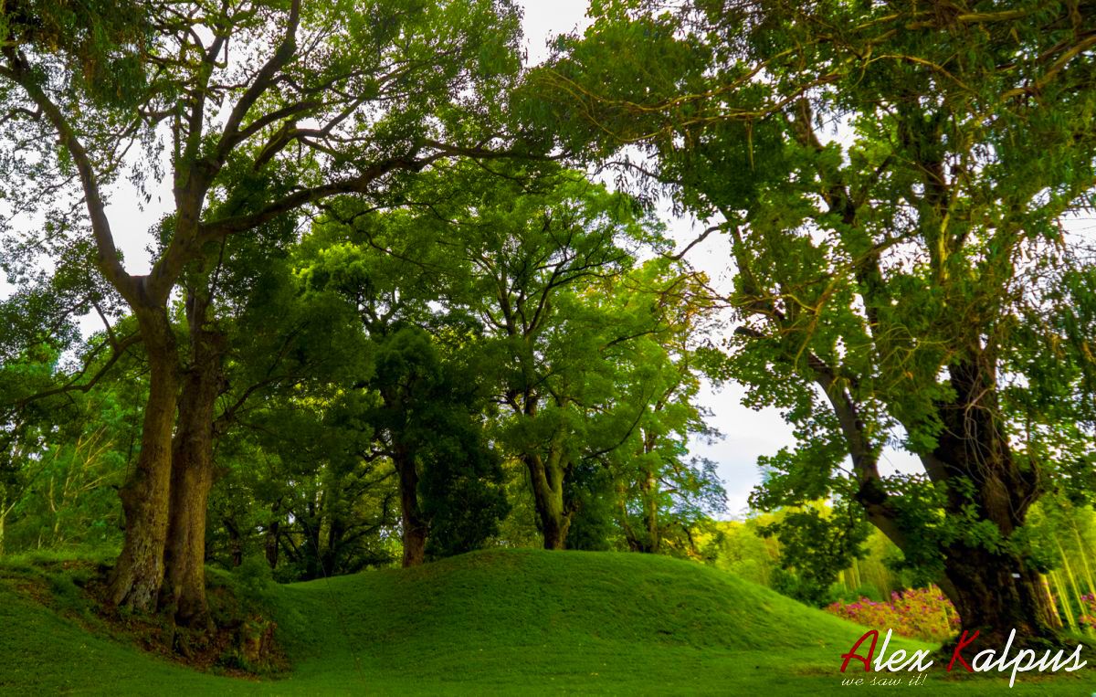 ���������: ����� ������� �� ��������� ������