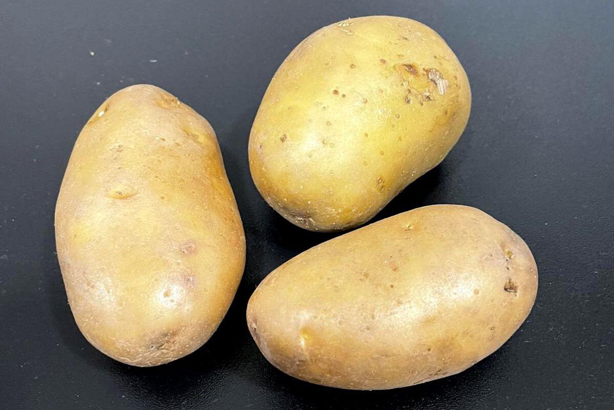 ������� � ������� ���� �� 15 �����: ��������� ������ ���������