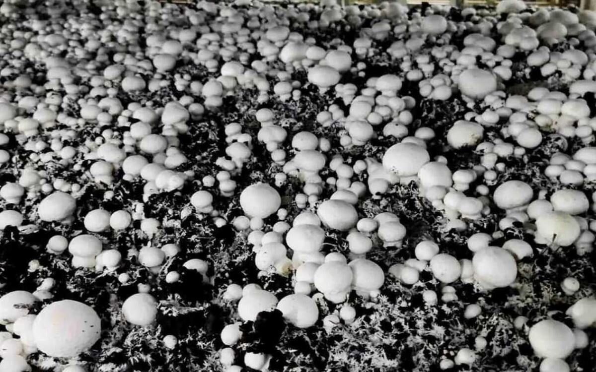 ����� ����� �� ������� ������� ����������: ��������� ���� ��������� �� 180,5 ��� ������