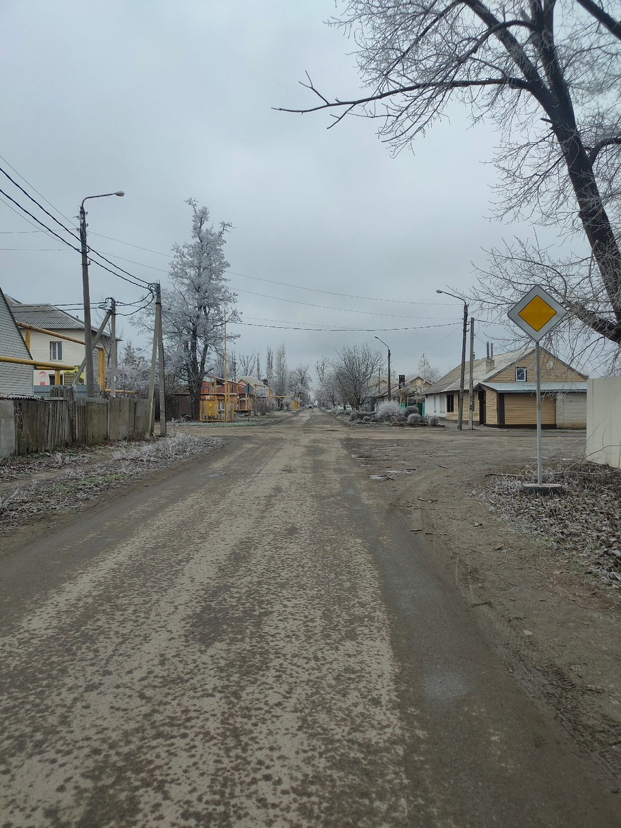 Как город готовится к Новому году: традиции и трудности