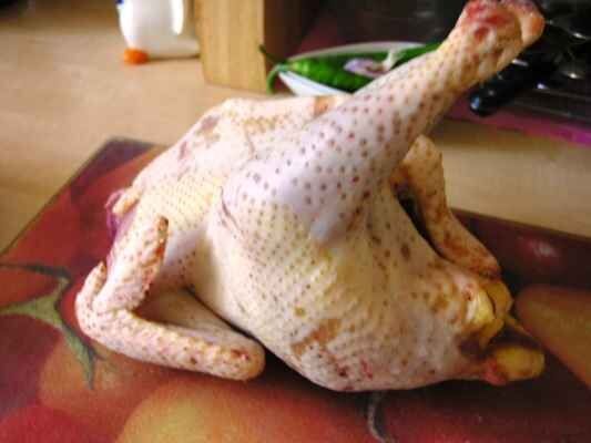 ���������� ����: ���������� � ���������� ����� � �����