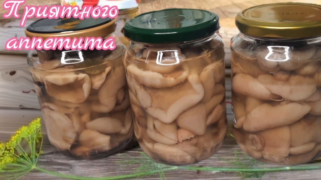 ������������ �������: ��� ������ ���� ������������ � ���������� �������