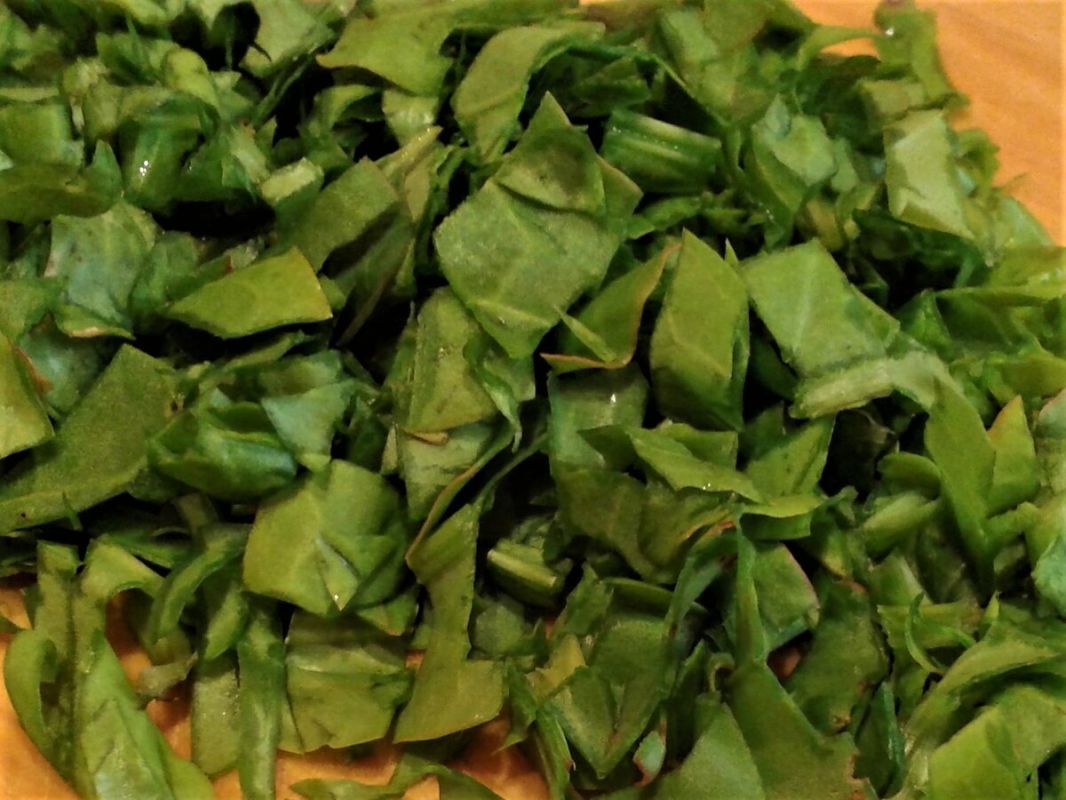 ������� ���-����: �������� ������ �� �������� � ������� ��� ������ ������� ����