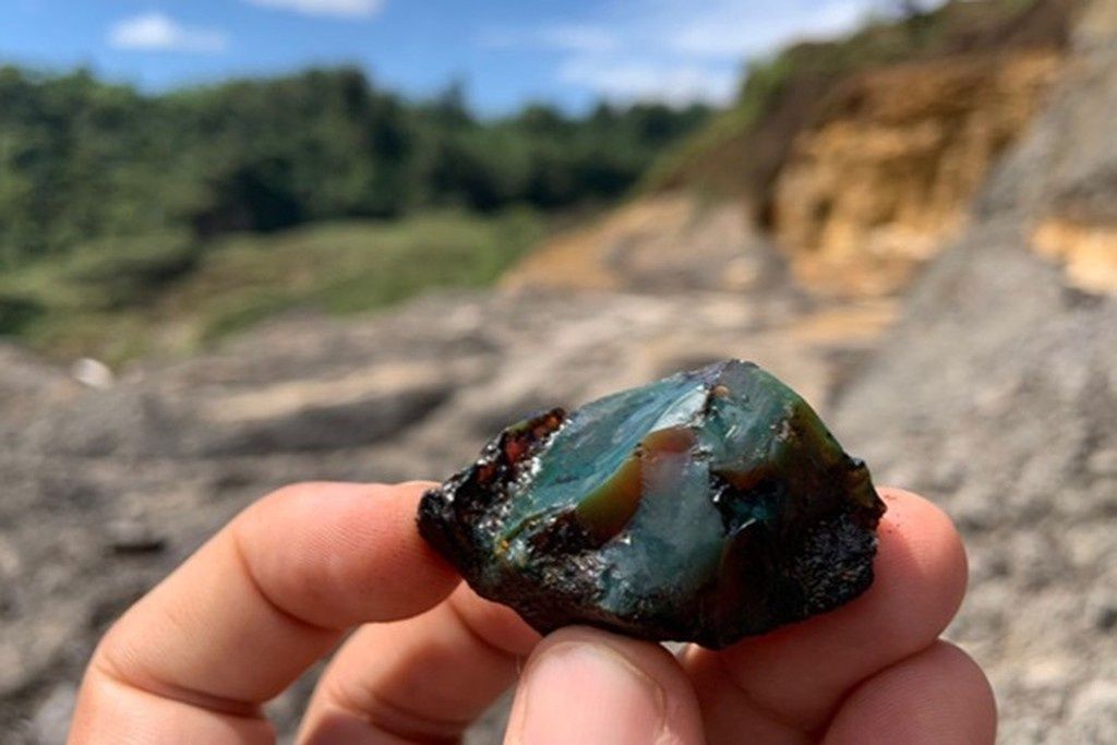 Уникальная находка: янтарь с насекомыми возрастом 112 миллионов лет в Эквадоре