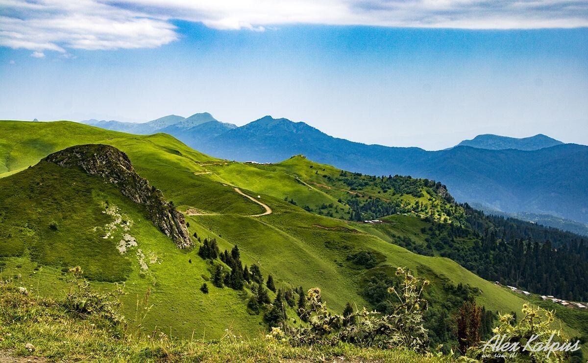 ����������� �� �������� ������: �� ������� ������ � ����������� ����������