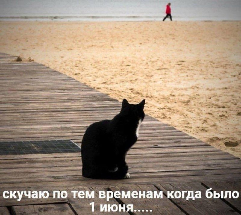 �������������� ����: ��������� ��� � �������� ������� �� ������