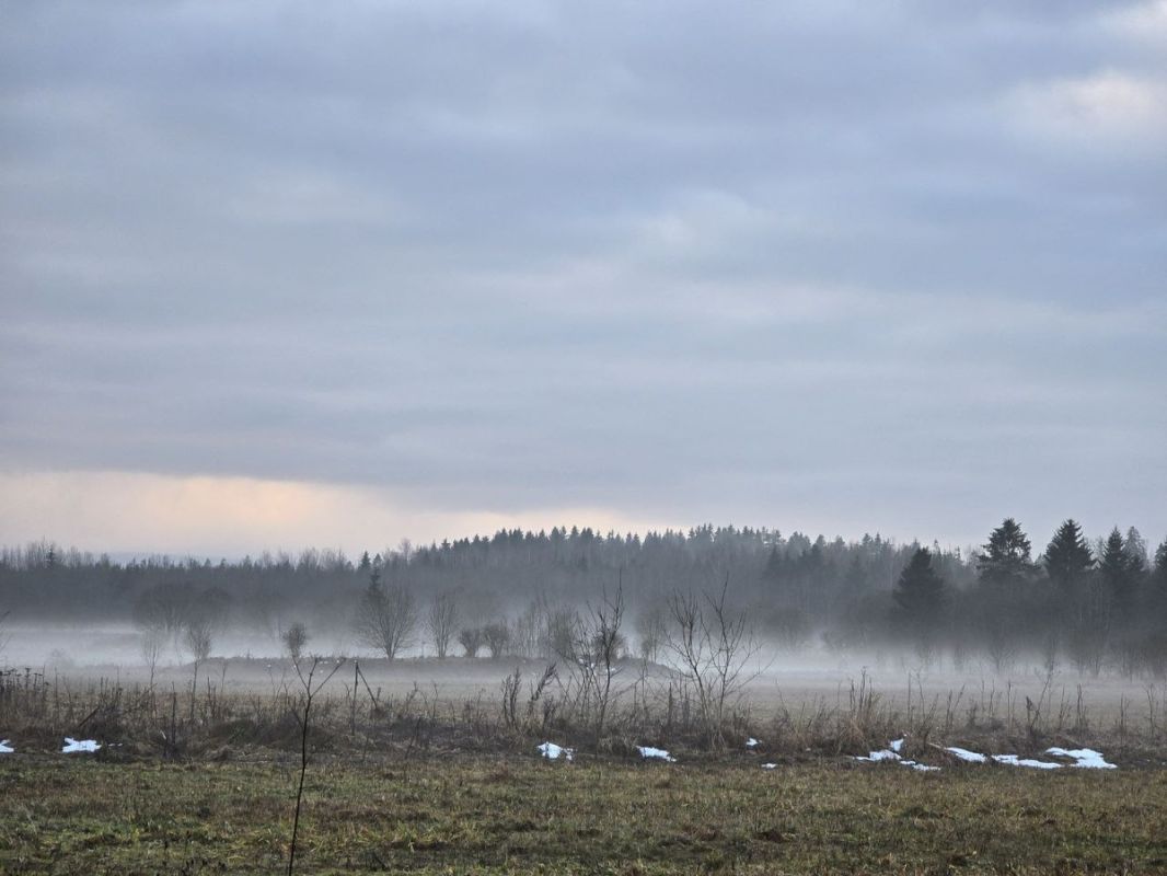 ������ � ��������: ��� � �������� �������