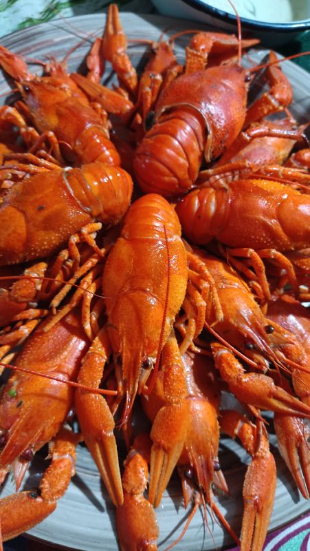 ������� ��������� ����� �����: �� ������ �� ������