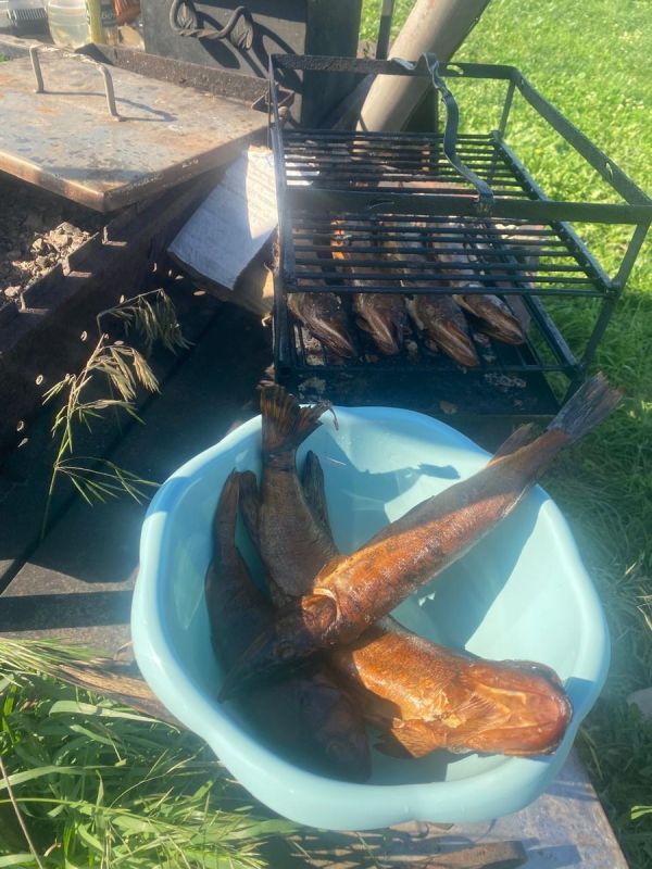 ���� �������� ��������: ������� ����������� ������ ������� � ��������� ���������