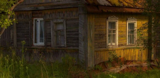 Забава по грибам: как осень вдохновила на сбор урожая