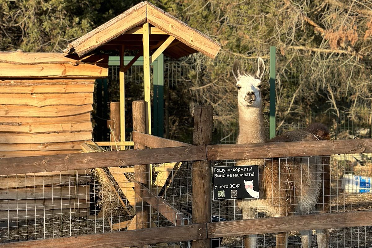 ����������� ��������� �������: ��� ������� �� ���������� ������� ������ ���� �����������