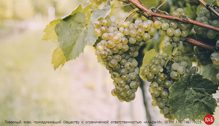 ����������� ����: ��������� ��������� � ���������� ����������