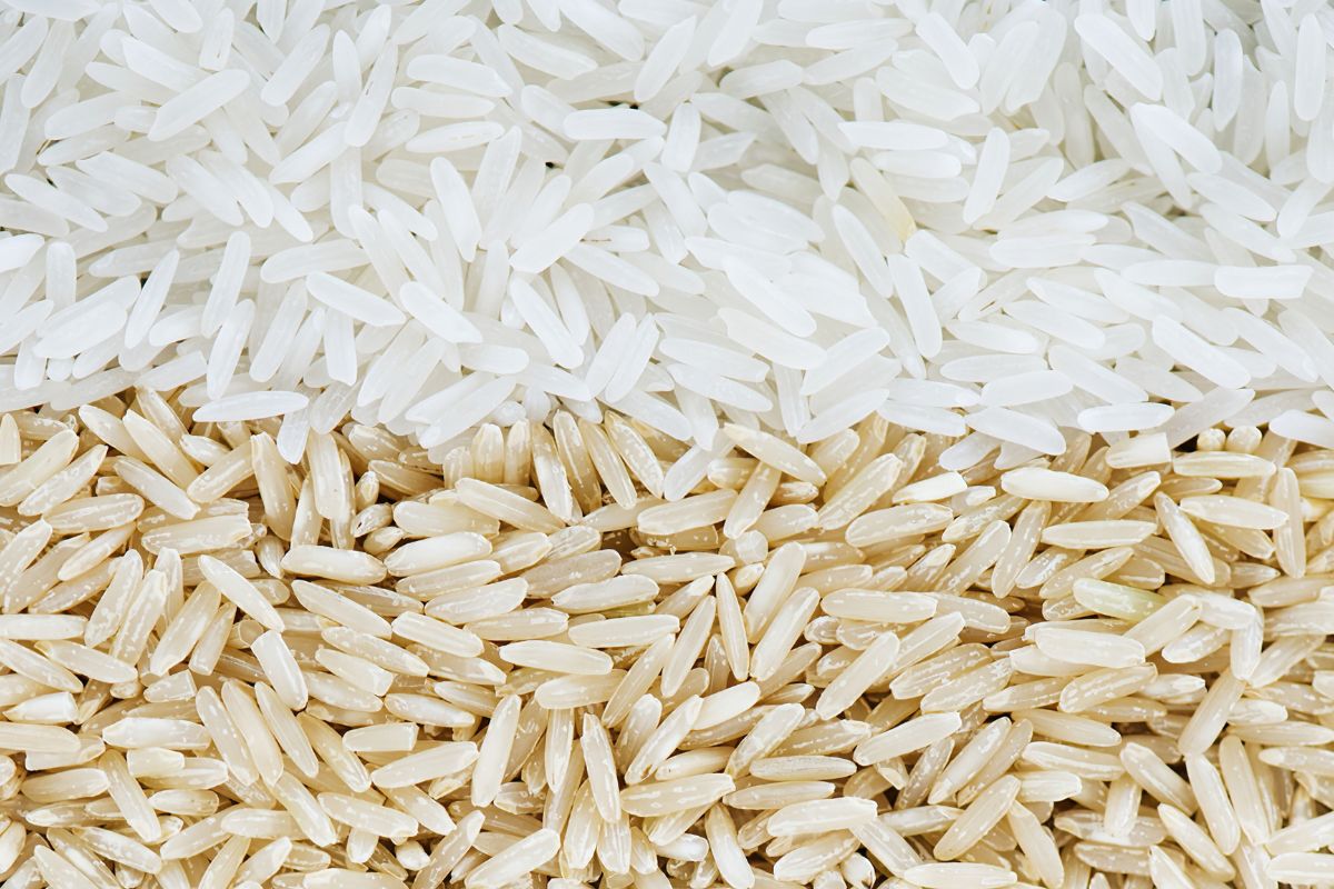 ����� ��� ����� ���: ��� ������� ���������� ������� ��� ������ �����