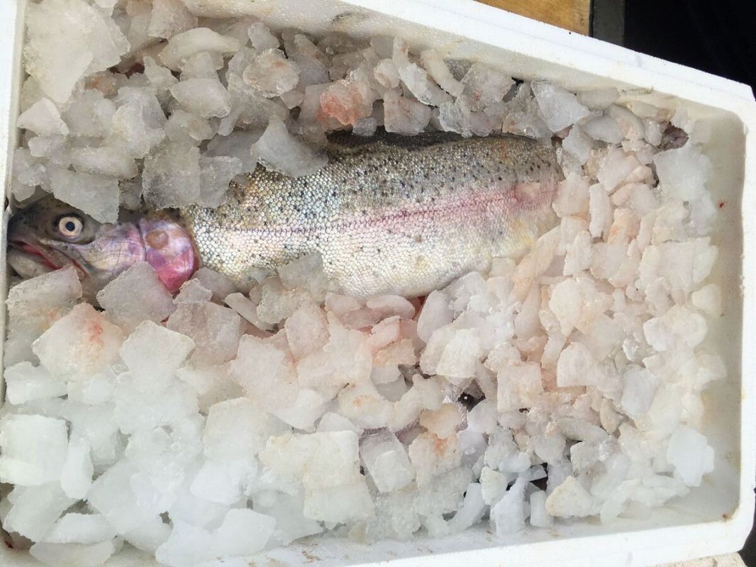 ��������� ������� �� ������ ��������� ������ �� ��������� ����