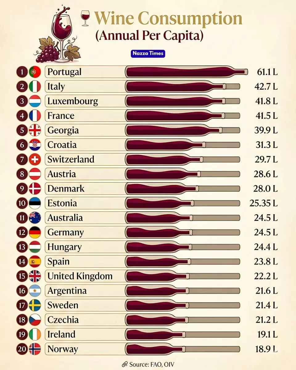 Где пьют больше всего вина: Топ-страны по потреблению в 2024 году