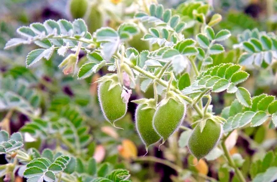 ��������: �������� � ������������� ���������� ��� ����� ����