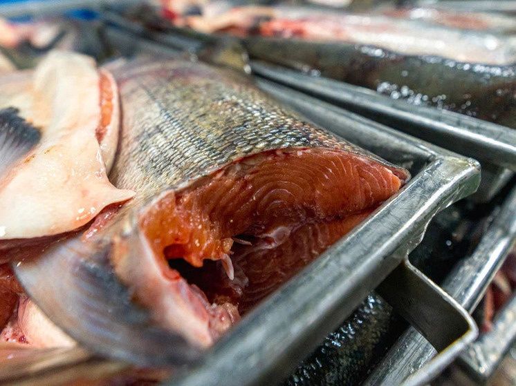 �������� �������� � ����� � ����������� ���������� ������� � ���������� � ����������