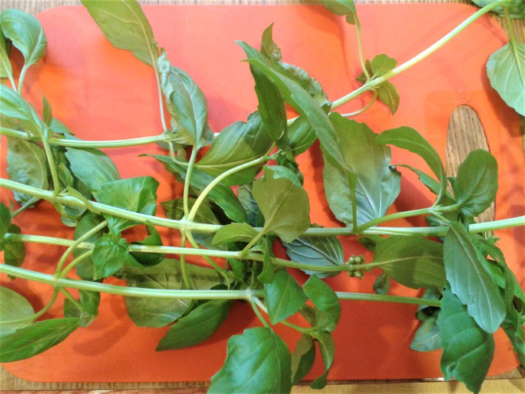 ������ ��� � ������� � �������� ������������� � ������, ������ � �����������