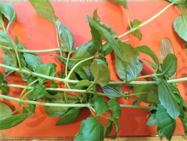 ������ ��� � ������� � �������� ������������� � ������, ������ � �����������