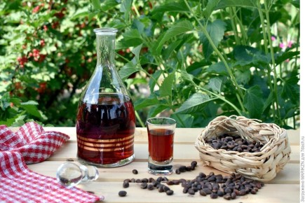 Кедровка: целебная настойка из Сибири, которую стоит попробовать