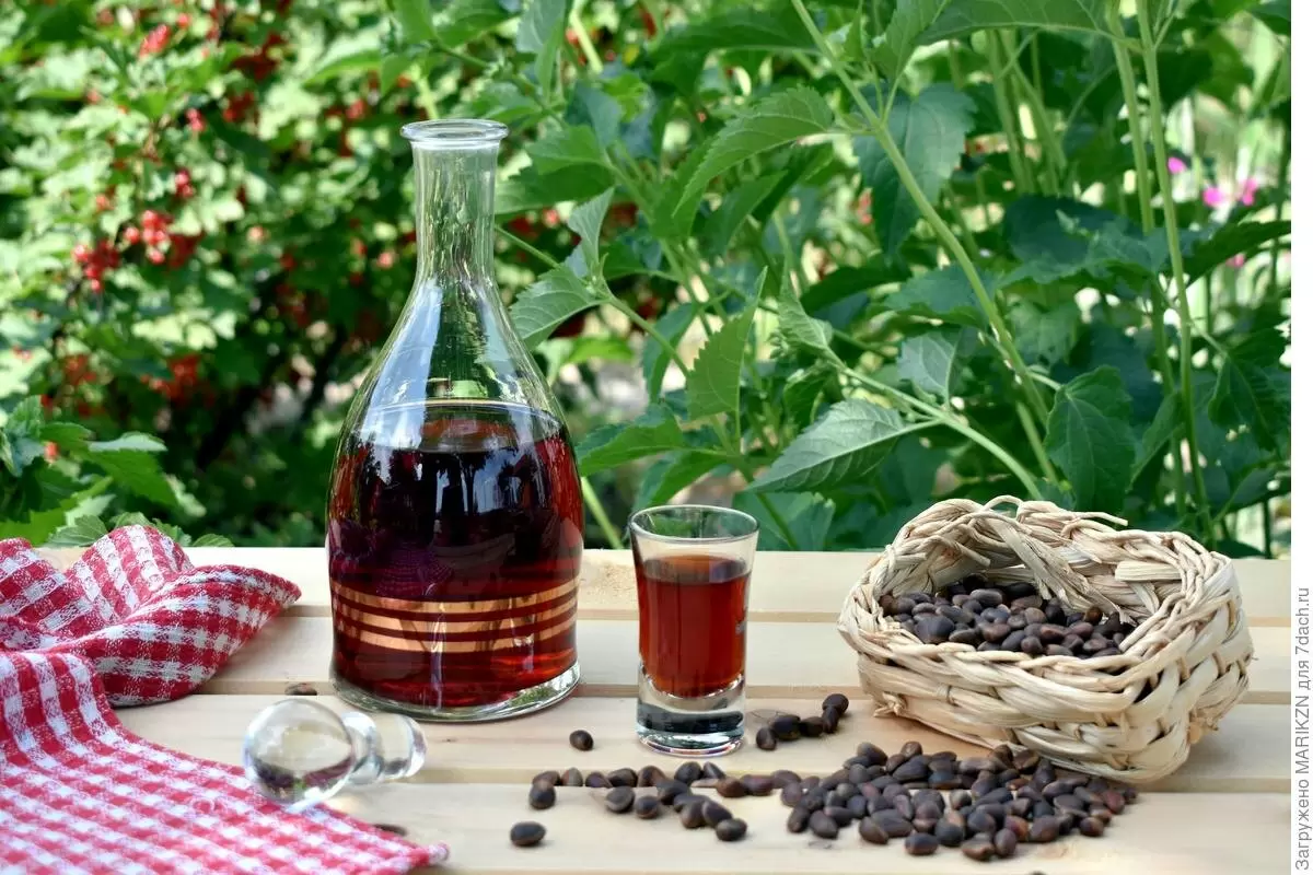 Кедровка: целебная настойка из Сибири, которую стоит попробовать