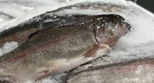 ����� ��������� �� ����: ���� ����� ���� �����