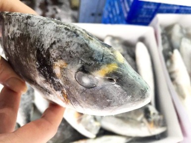 ������: ��� ����������� �������������� ����� �� ��������� ������