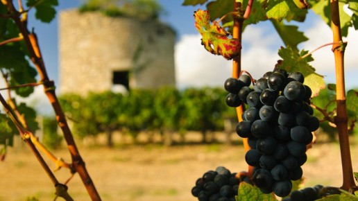 Как меняется Бордо: вино, традиции и новые сорта
