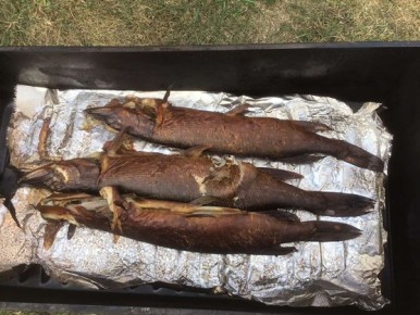 ���� ����: �� ��� �� �����������