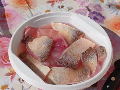 ������� ���������� �����: ��� ����������� "�����������" �� ������ ����